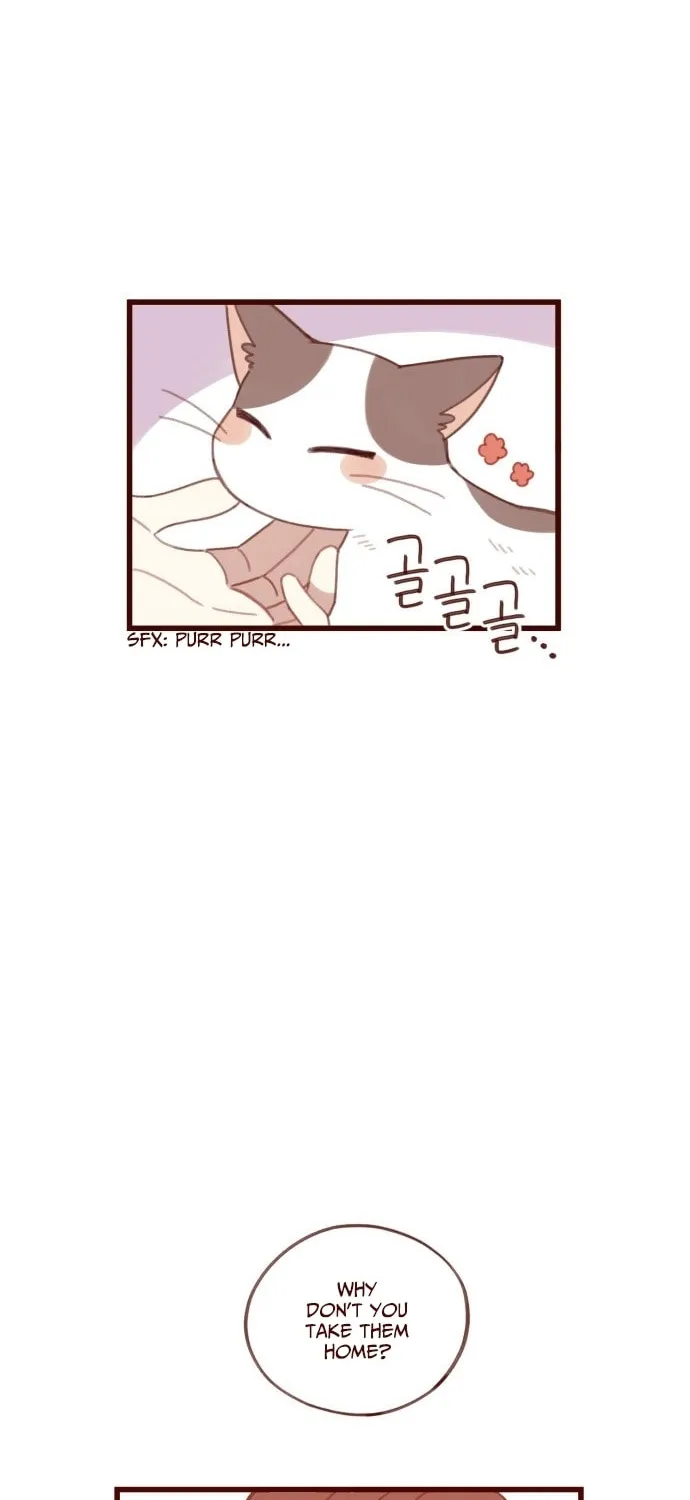 Read Sweet Salty chapter 11 image 1 on Lezhin
