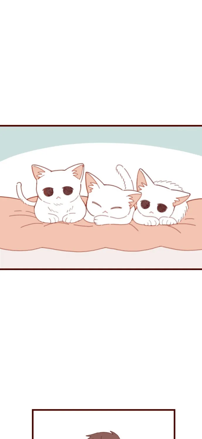 Read Sweet Salty chapter 11 image 30 on Lezhin