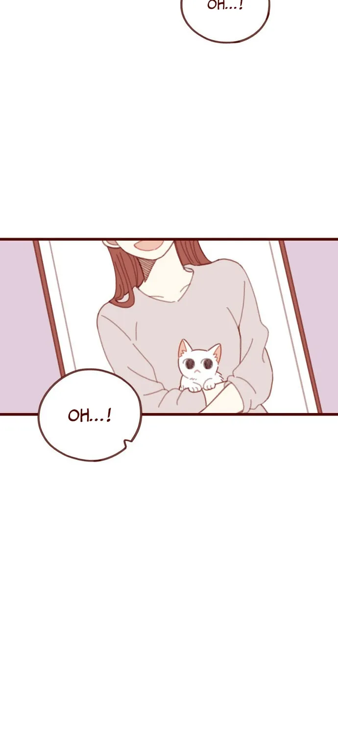 Read Sweet Salty chapter 11 image 46 on Lezhin
