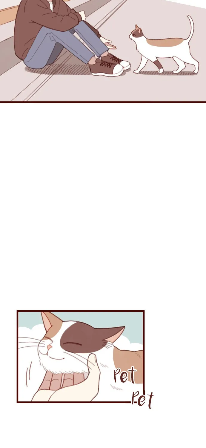 Read Sweet Salty chapter 8 image 22 on Lezhin