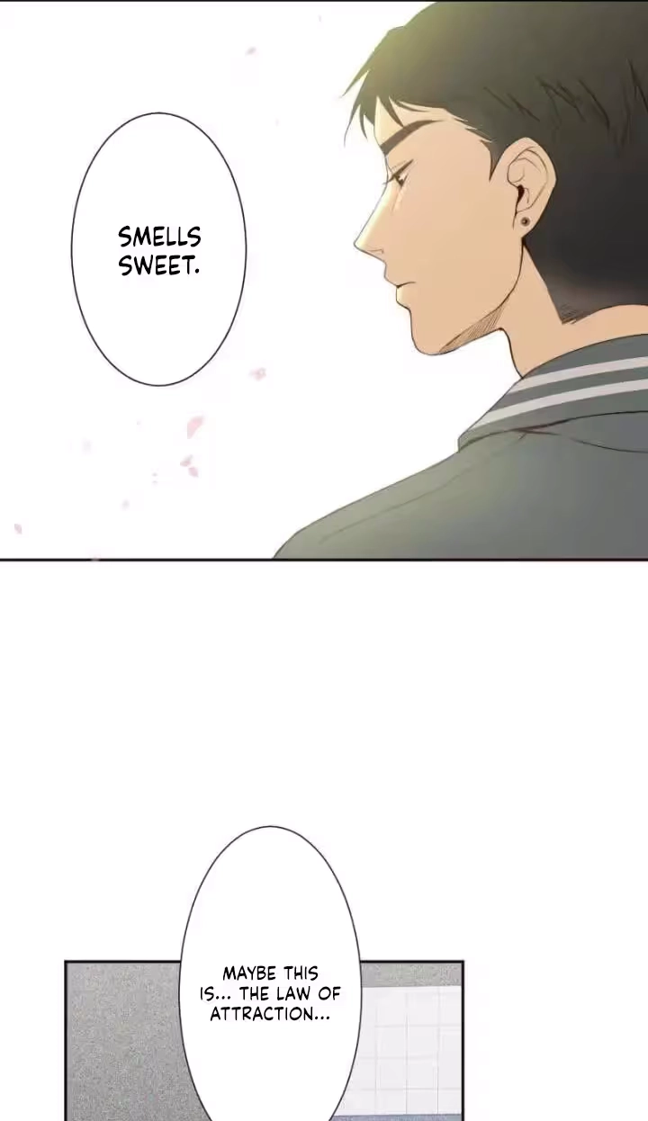 Read Sweet Whispers chapter 59 image 36 on Lezhin