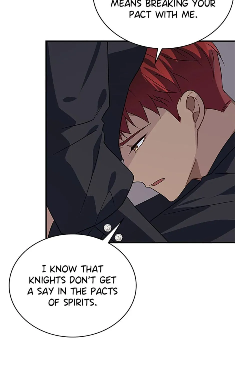 Swept Up By the Wind Spirit Chapter 65 page 29 - 