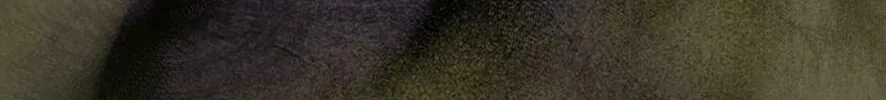 Swept Up By the Wind Spirit Chapter 78 page 34 - 