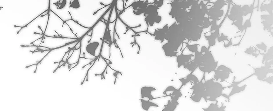 Swept Up By the Wind Spirit Chapter 82 page 4 - 