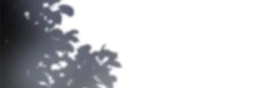 Swept Up By the Wind Spirit Chapter 82 page 82 - 