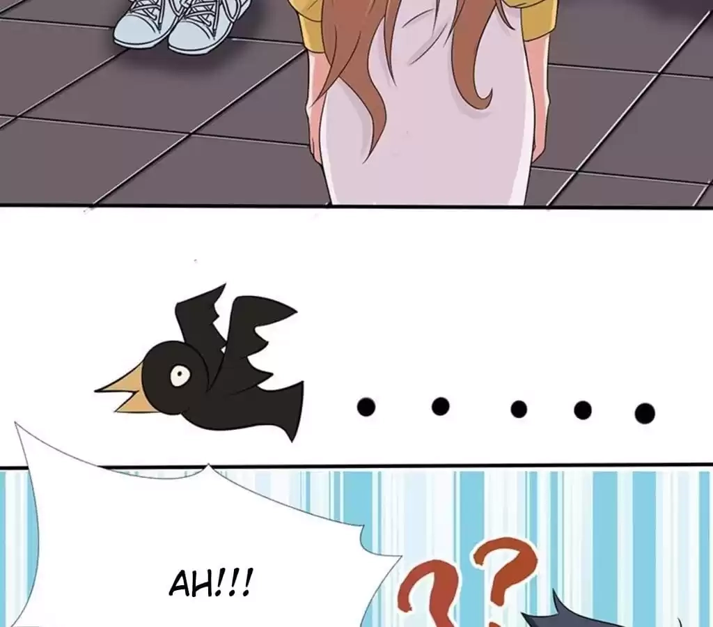 System Chapter 10 page 31 - 