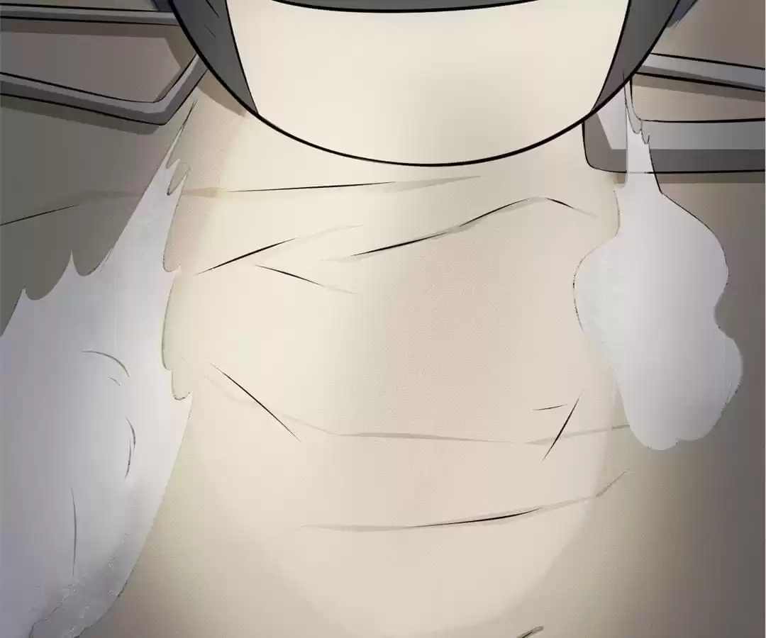 System Chapter 33 page 48 - 