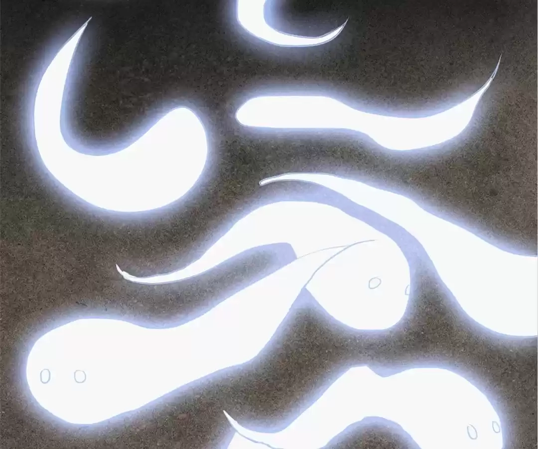 System Chapter 56 page 95 - 