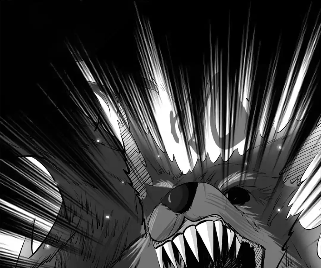 System Chapter 74 page 65 - 