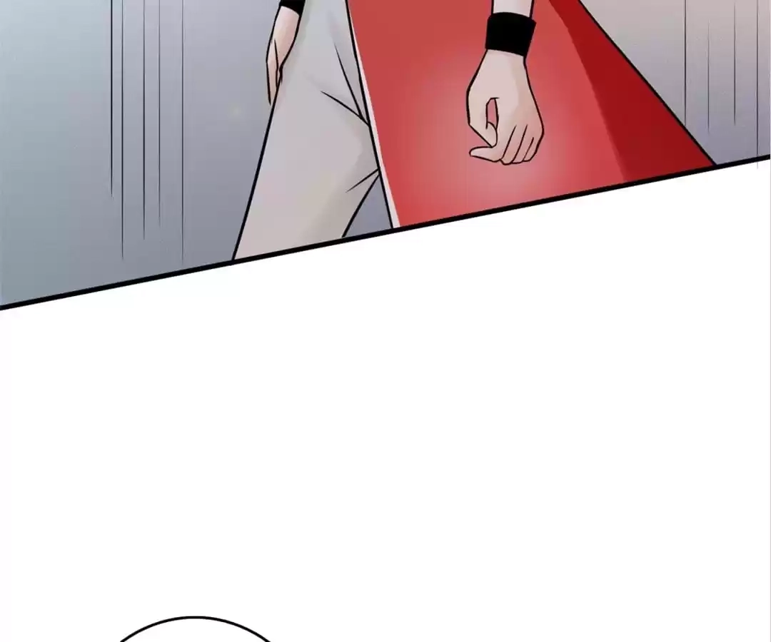 System Chapter 80 page 17 - 