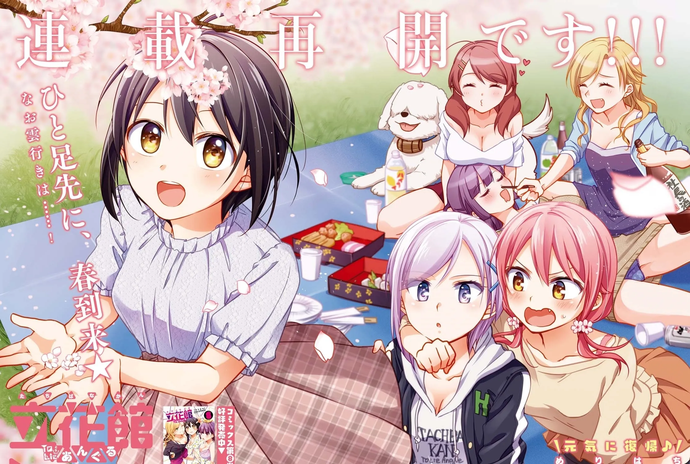 Read Tachibanakan Triangle chapter 34 image 2 on Lezhin