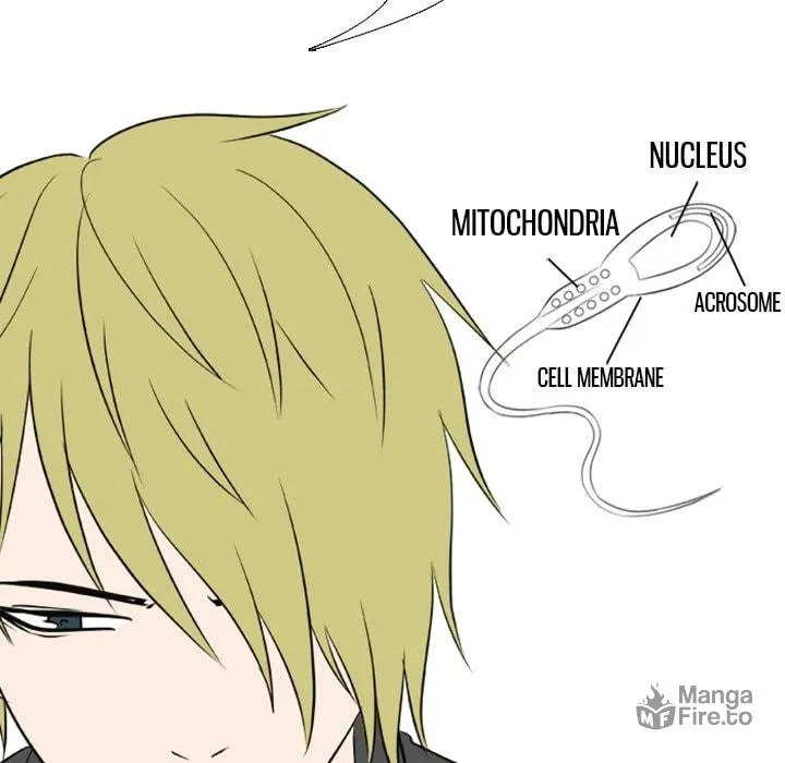 Read Taekwon High chapter 2 image 34 on Lezhin