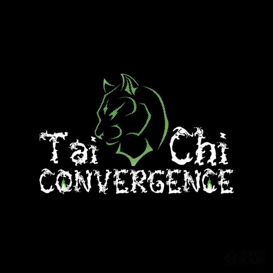 Tai-Chi Convergence Chapter 3 page 3 - 