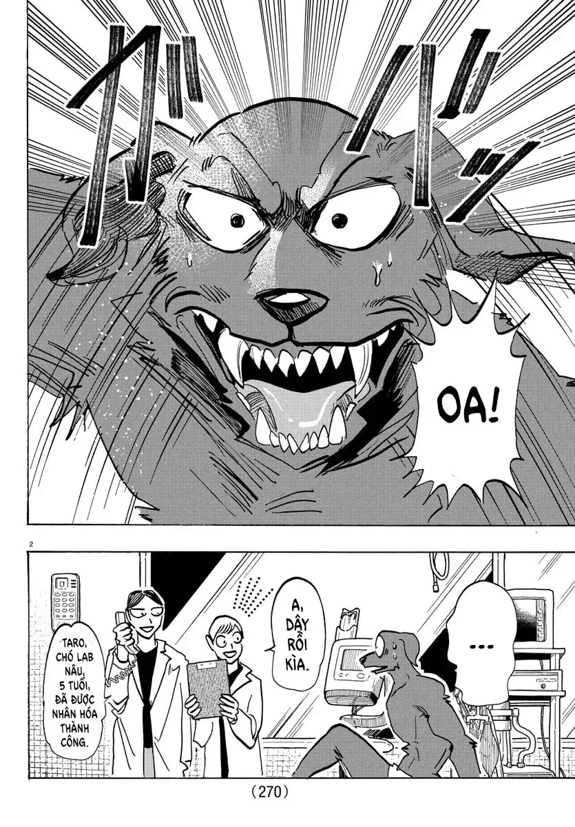 Read Taika no Risei chapter 21 image 1 on Lezhin