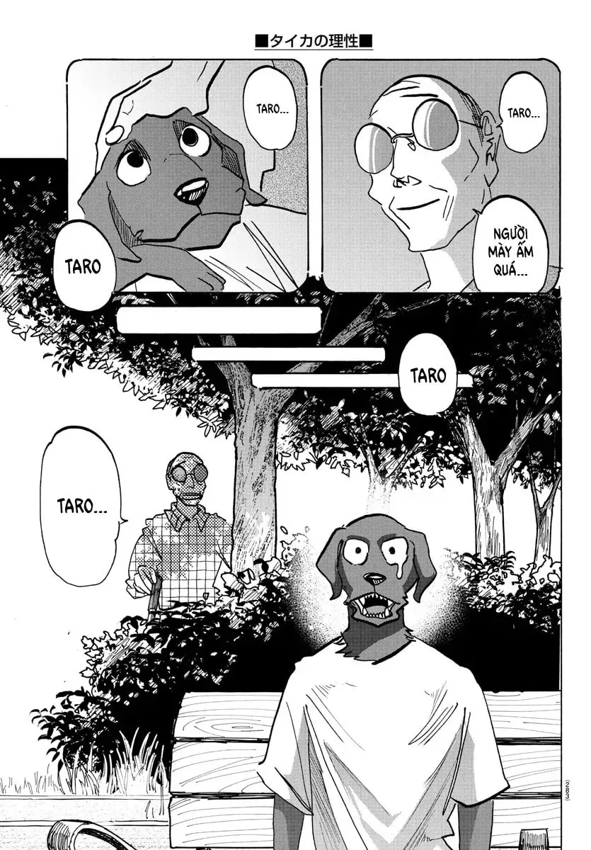 Read Taika no Risei chapter 21 image 14 on Lezhin