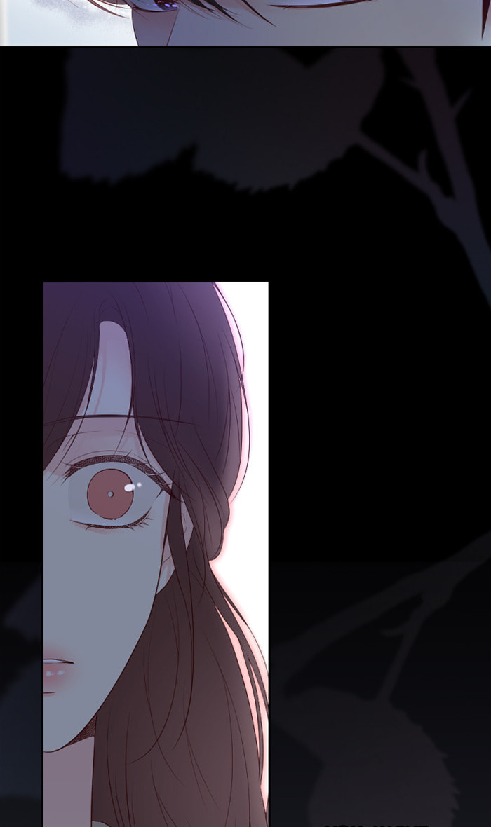 Read Take Me, I