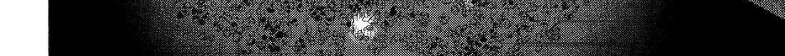 Read Talentless Nana chapter 112 image 24 on Lezhin