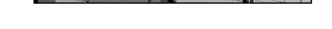 Read Talentless Nana chapter 23.3 image 5 on Lezhin
