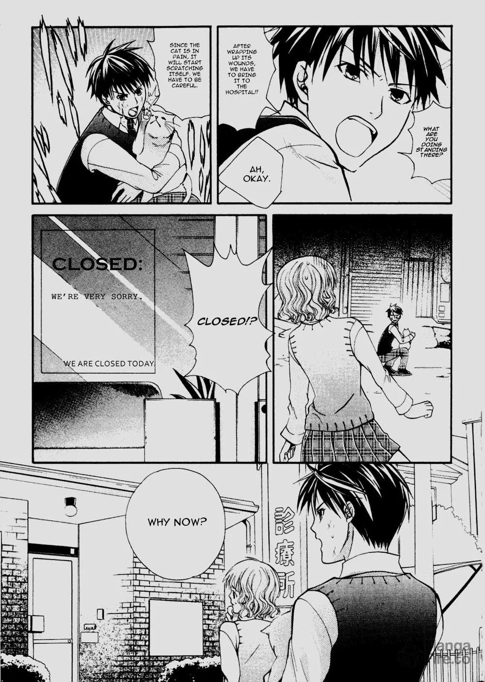 Read Tamago no Kimi. chapter 8 image 17 on Lezhin