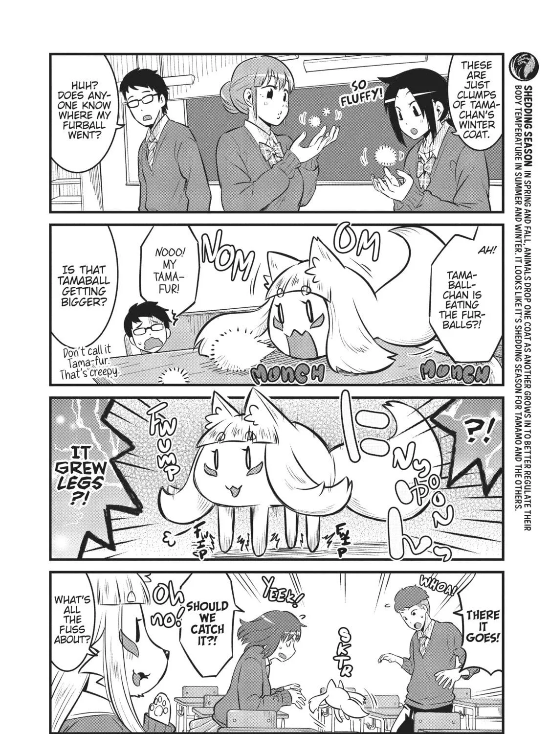 Read Tamamo-chan’s a Fox! chapter 62 image 10 on Lezhin