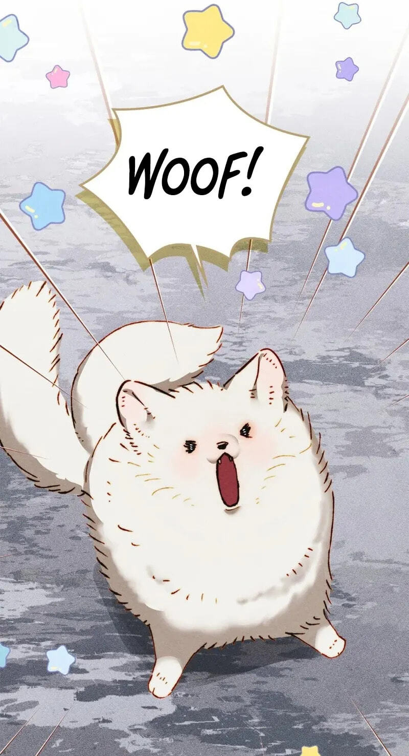 Read Taming My Master Mage chapter 56 image 14 on Lezhin