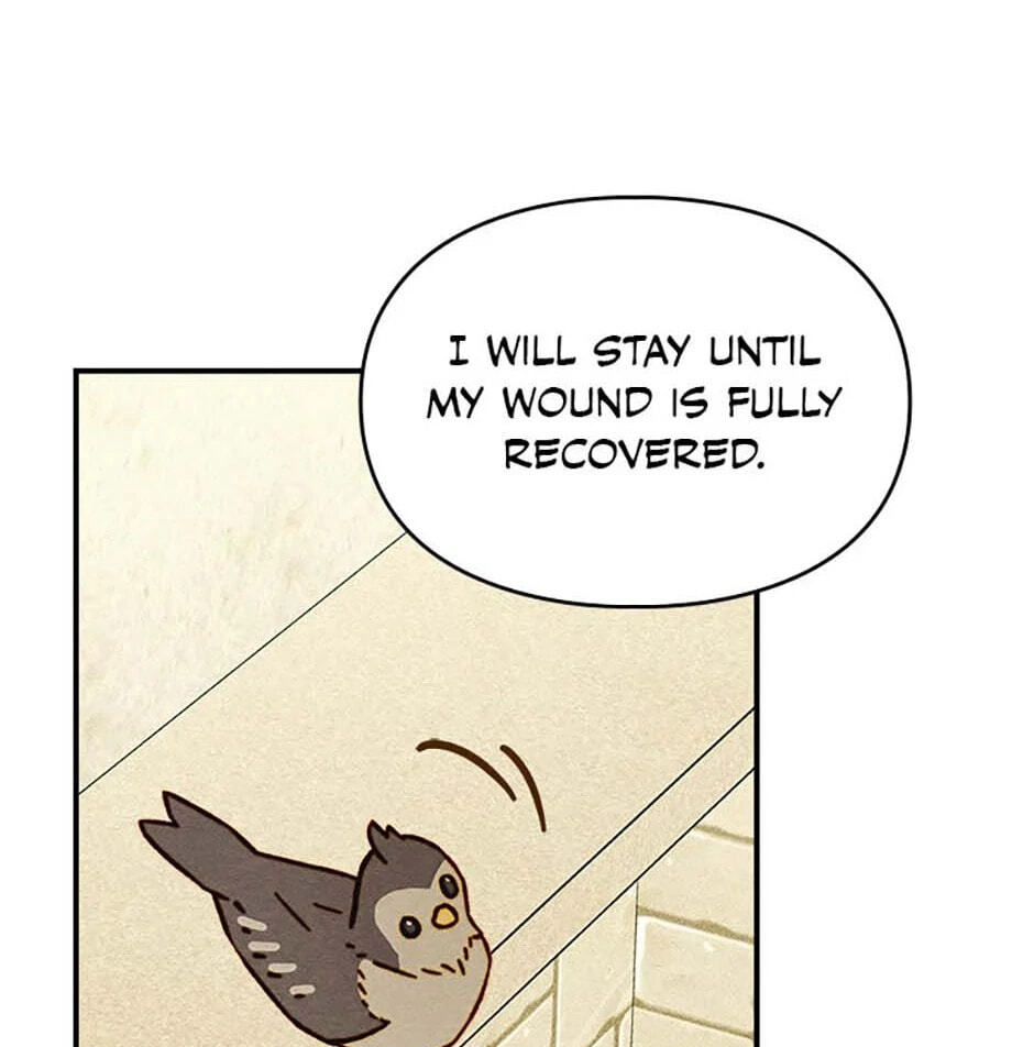 Read Taming My Master Mage chapter 6 image 102 on Lezhin