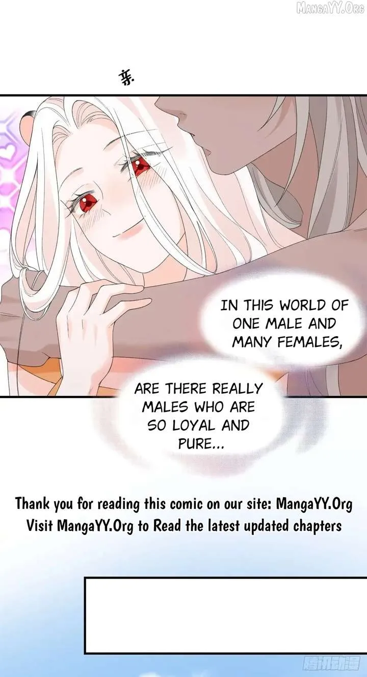 Read Taming the Beasts With Multi-Pregnancy System chapter 25 image 14 on Lezhin
