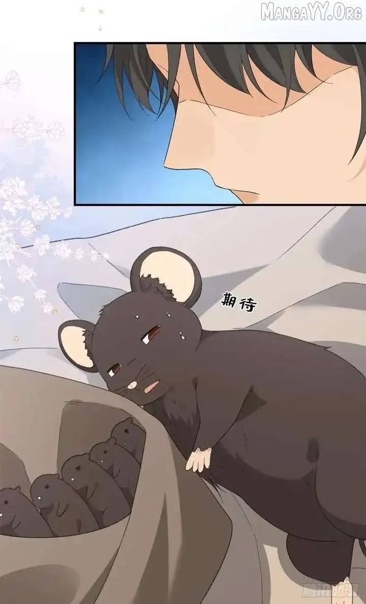 Read Taming the Beasts With Multi-Pregnancy System chapter 27 image 4 on Lezhin