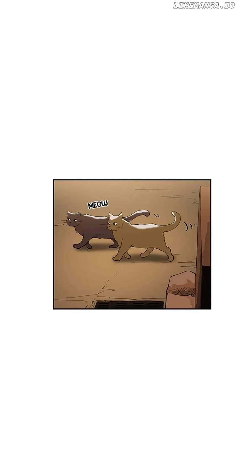 Read Tangled chapter 43 image 68 on Lezhin