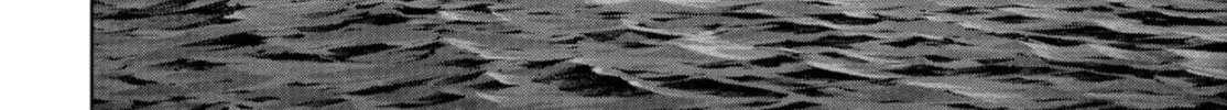 Read Task Force for Paranormal Disaster Management chapter 1.1 image 25 on Lezhin