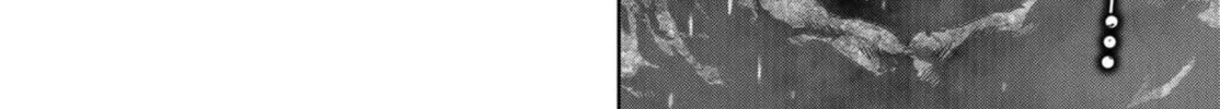 Read Task Force for Paranormal Disaster Management chapter 11 image 3 on Lezhin