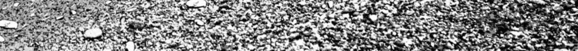 Read Task Force for Paranormal Disaster Management chapter 31 image 100 on Lezhin