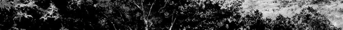 Read Task Force for Paranormal Disaster Management chapter 32 image 90 on Lezhin