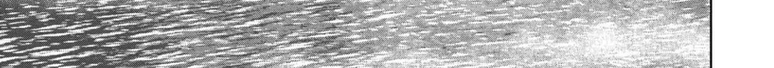 Read Task Force for Paranormal Disaster Management chapter 42 image 66 on Lezhin
