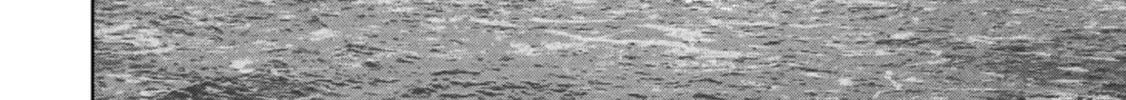 Read Task Force for Paranormal Disaster Management chapter 42 image 74 on Lezhin
