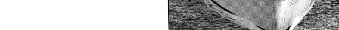 Read Task Force for Paranormal Disaster Management chapter 43 image 56 on Lezhin