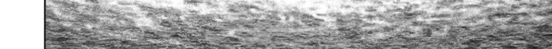 Read Task Force for Paranormal Disaster Management chapter 43 image 60 on Lezhin