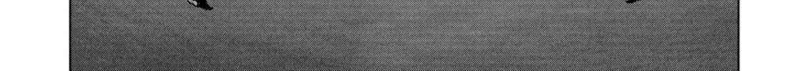 Read Task Force for Paranormal Disaster Management chapter 61 image 129 on Lezhin