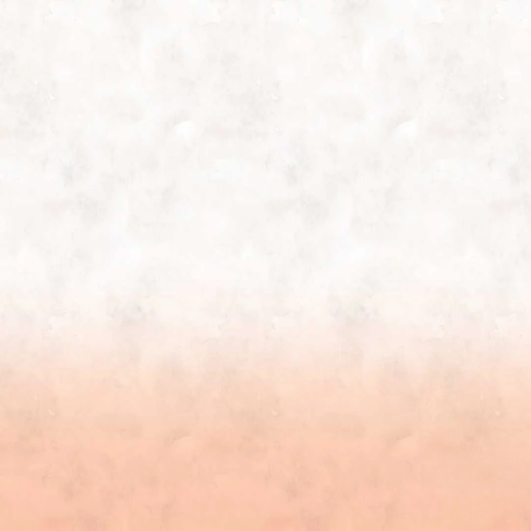 Taste of Bear Chapter 2 page 81 - 