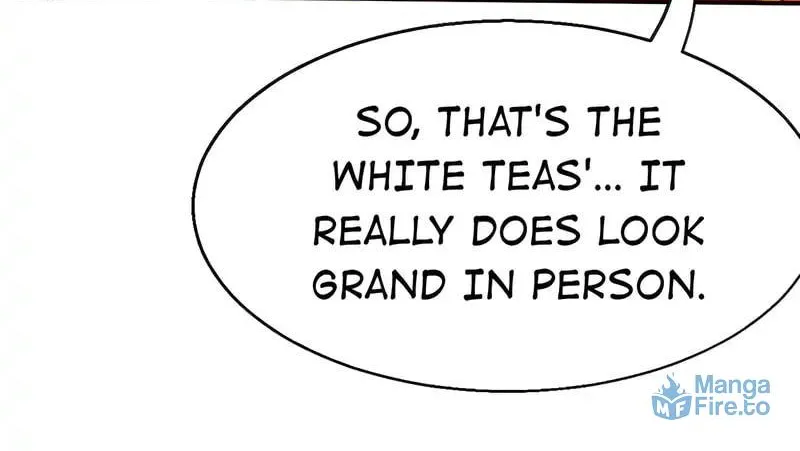 Tea Leaf Girl Chapter 36 page 29 - 