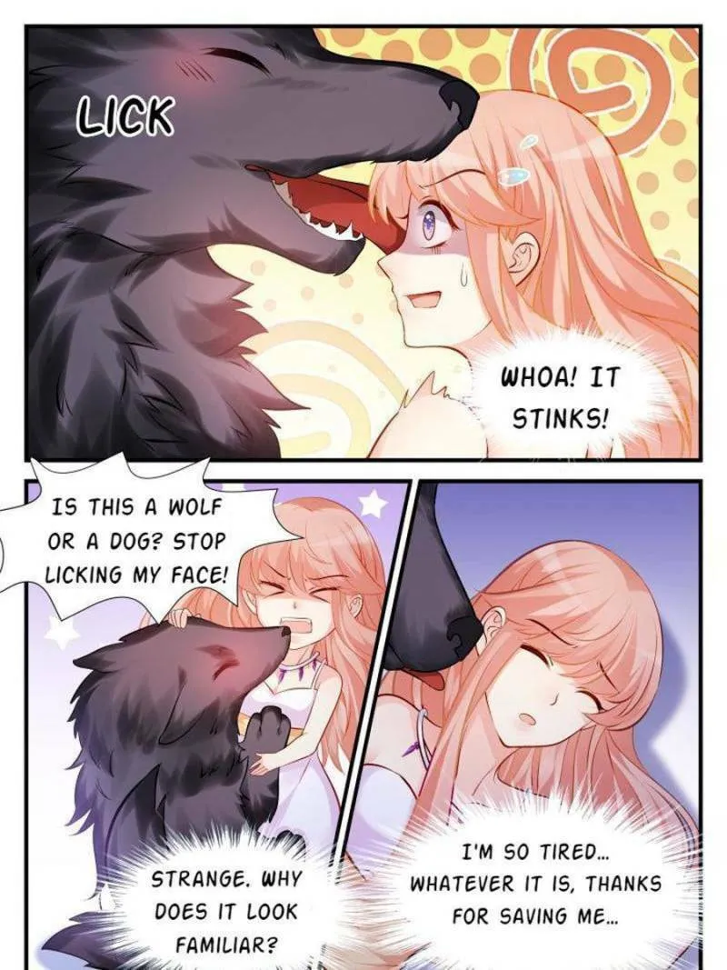 Read Teach the Devil Husband (Colored) chapter 11 image 7 on Lezhin