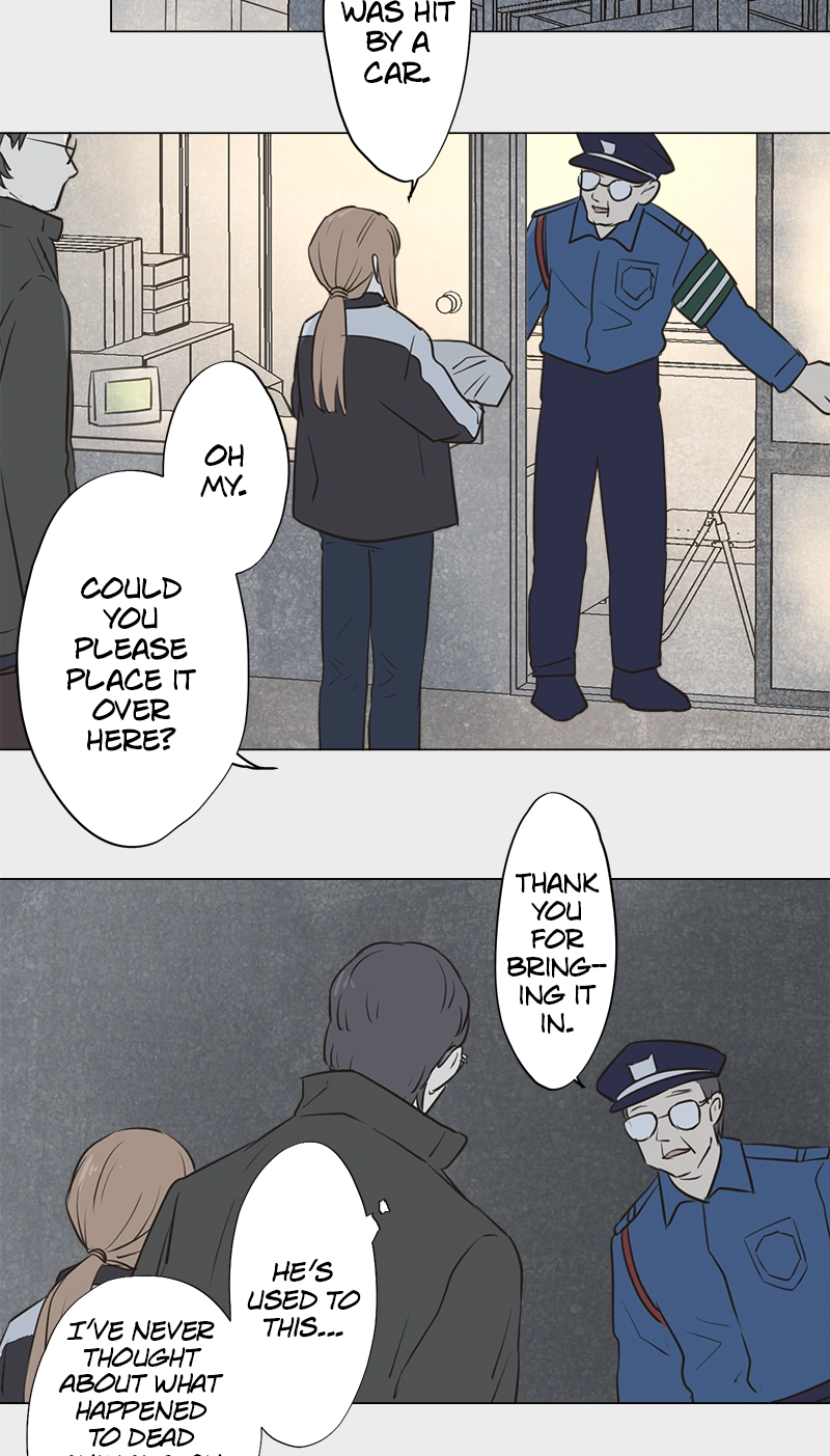 Read Teacher
