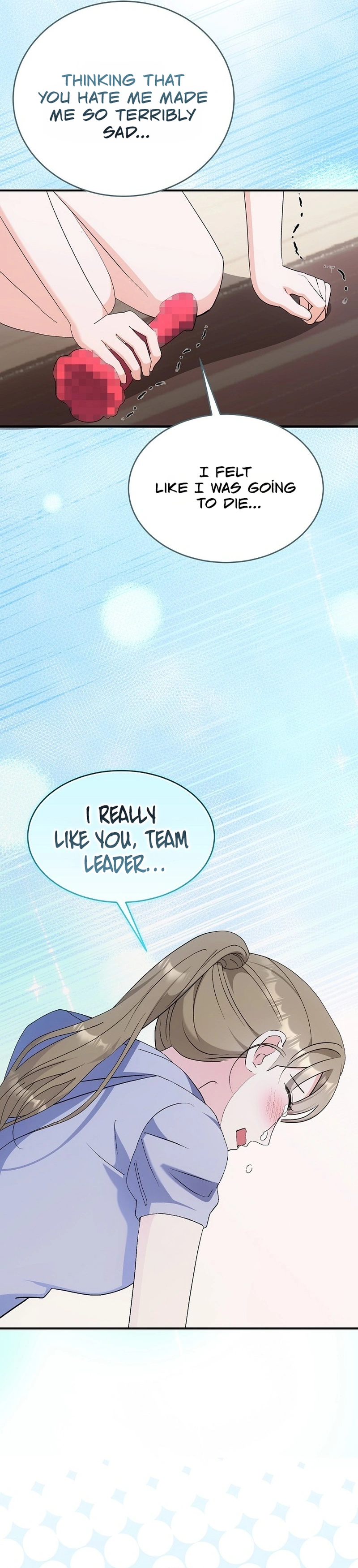 Team Leader Seok User Manual Chapter 21 page 12 - 