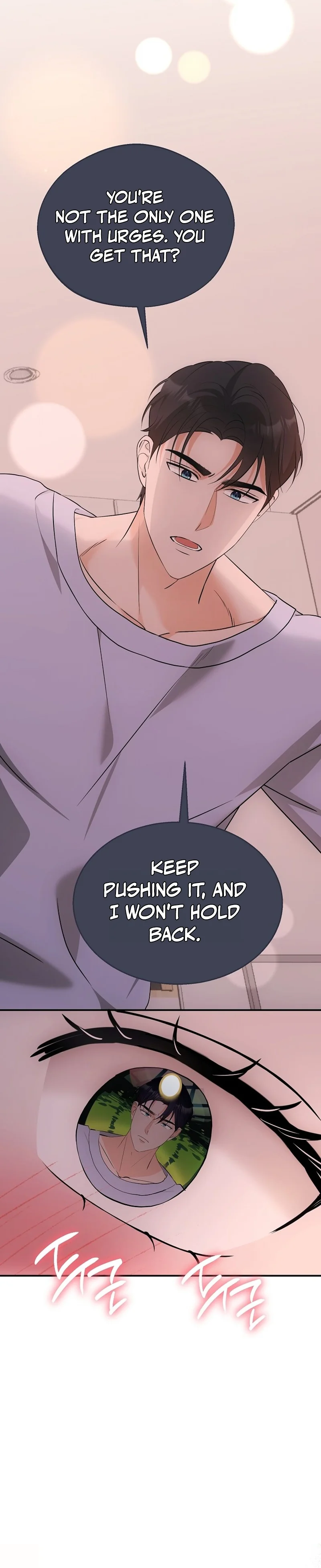 Team Leader Seok User Manual Chapter 4 page 33 - 