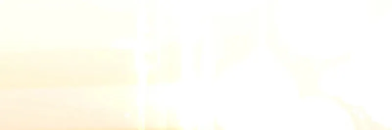 Ten Ways to Get Dumped by a Tyrant Chapter 11 page 29 - 