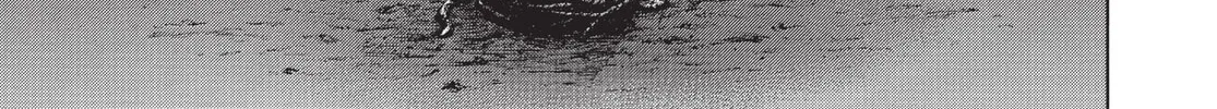 Read Terra Formars chapter 172 image 25 on Lezhin