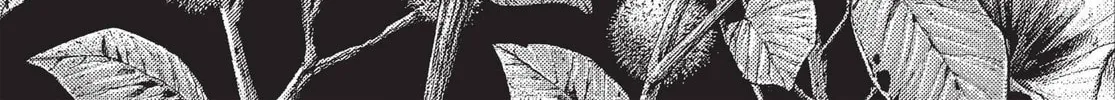Read Terra Formars chapter 27 image 1 on Lezhin