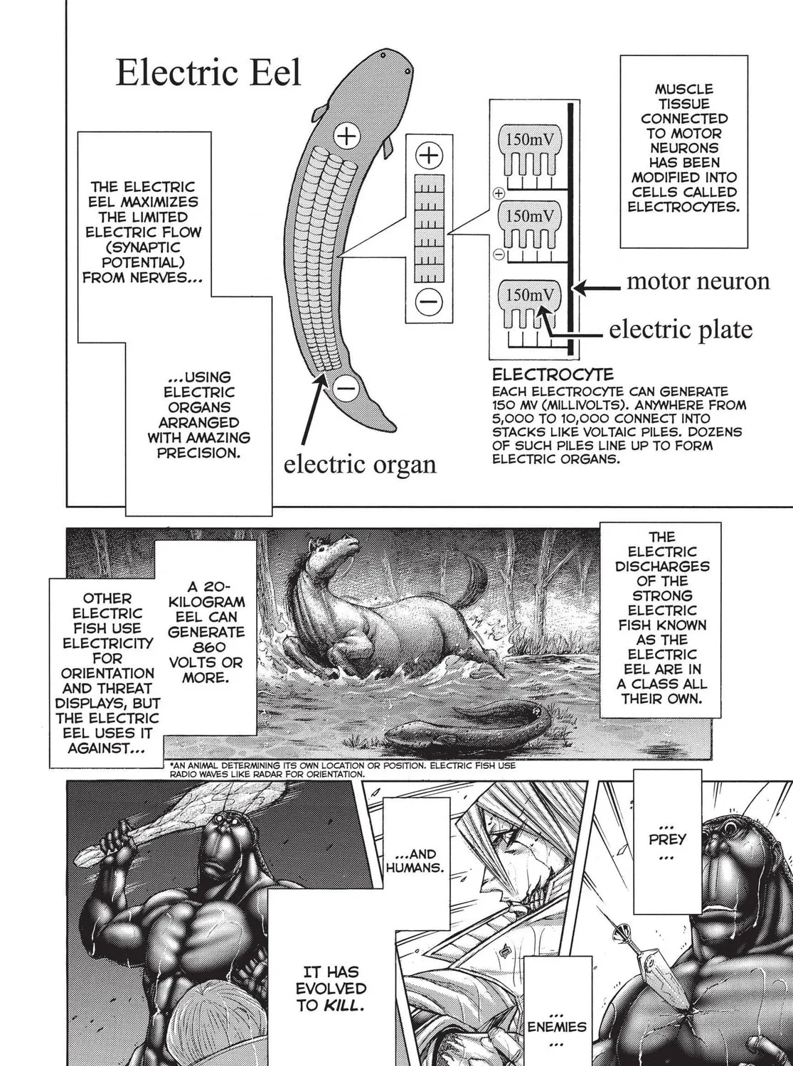 Read Terra Formars chapter 30 image 14 on Lezhin