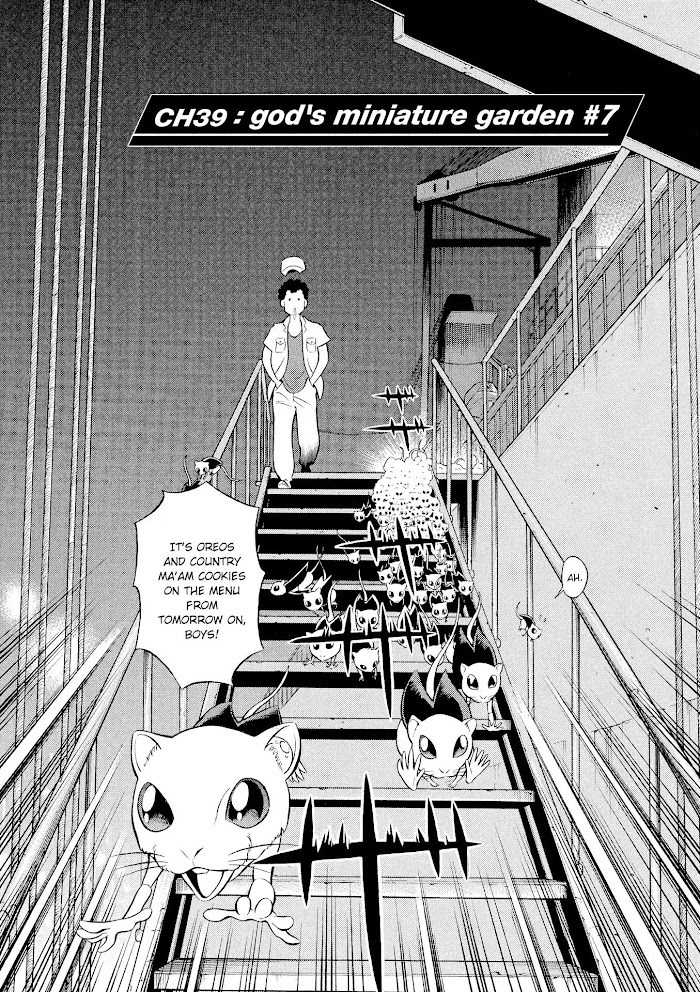 Read Tetsuwan Birdy Evolution chapter 39 image 1 on Lezhin