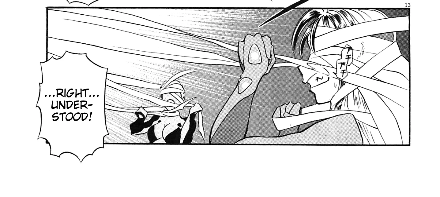 Read Tetsuwan Birdy Evolution chapter 98 image 25 on Lezhin